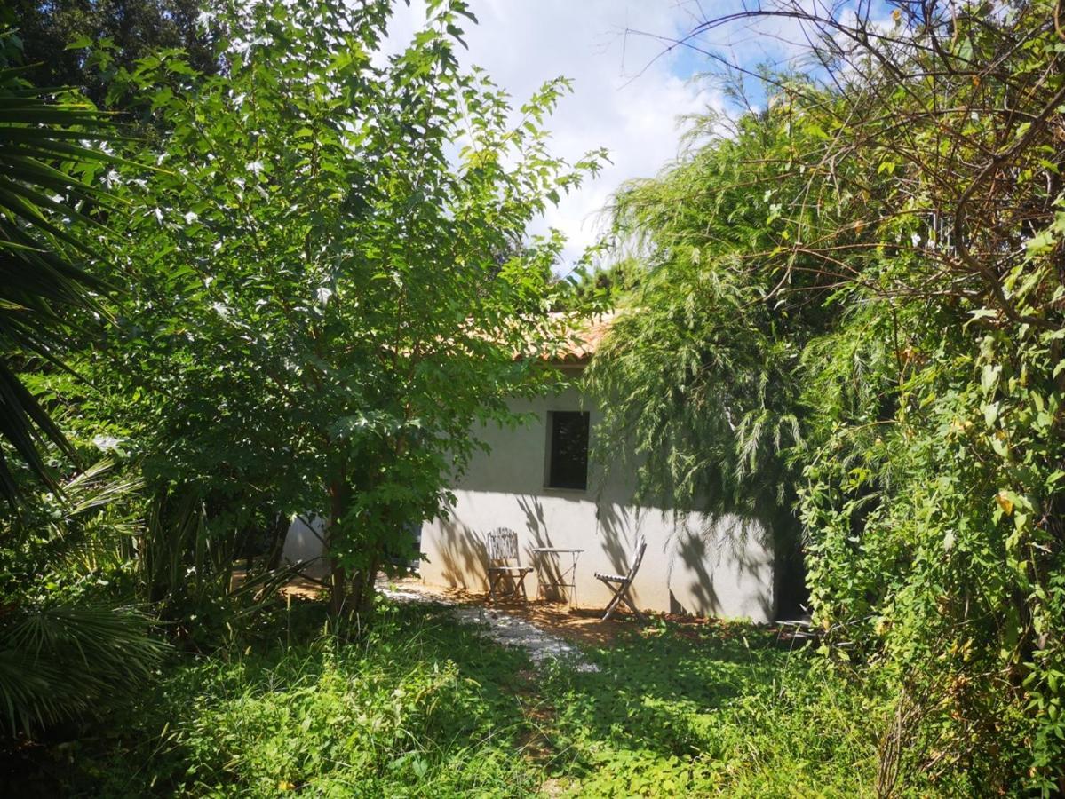 Villa Griseor Porto-Vecchio  Exterior photo